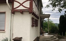 Doppelzimmer Mit Neuem Bad Und Sportpool-Nutzung Aussen, Im Souterrain Der Villa Naturpark, Garten Mit Rheinblick